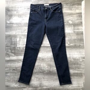 GAP High Rise Dark Wash Blue Denim 29R True Skinny Jeans